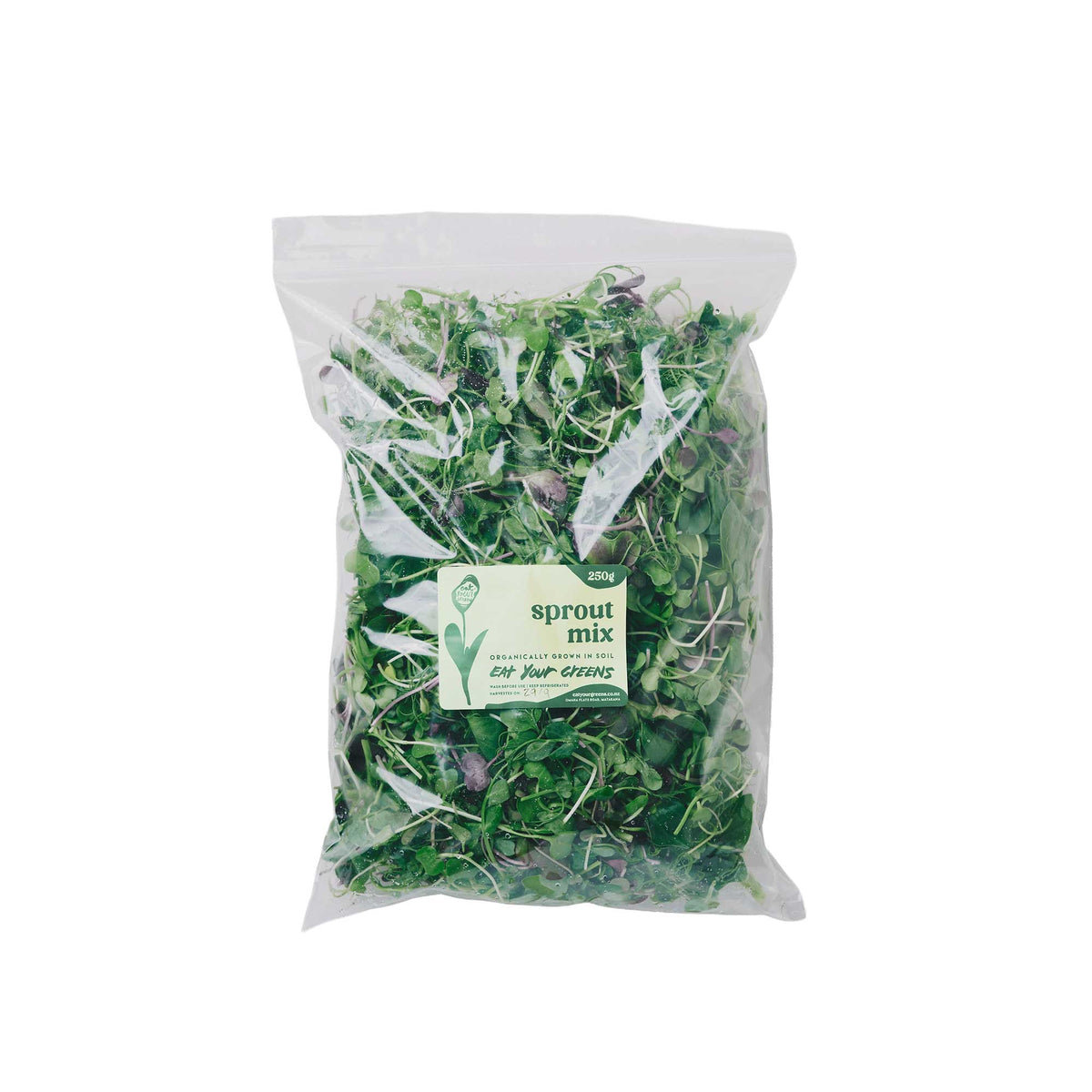 Organic Sprout Mix