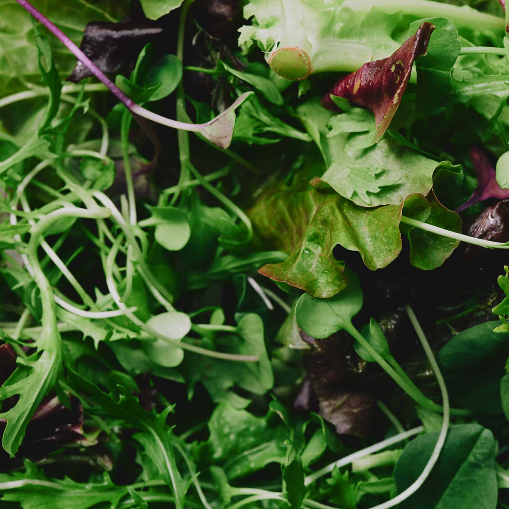 Organic Salad Greens