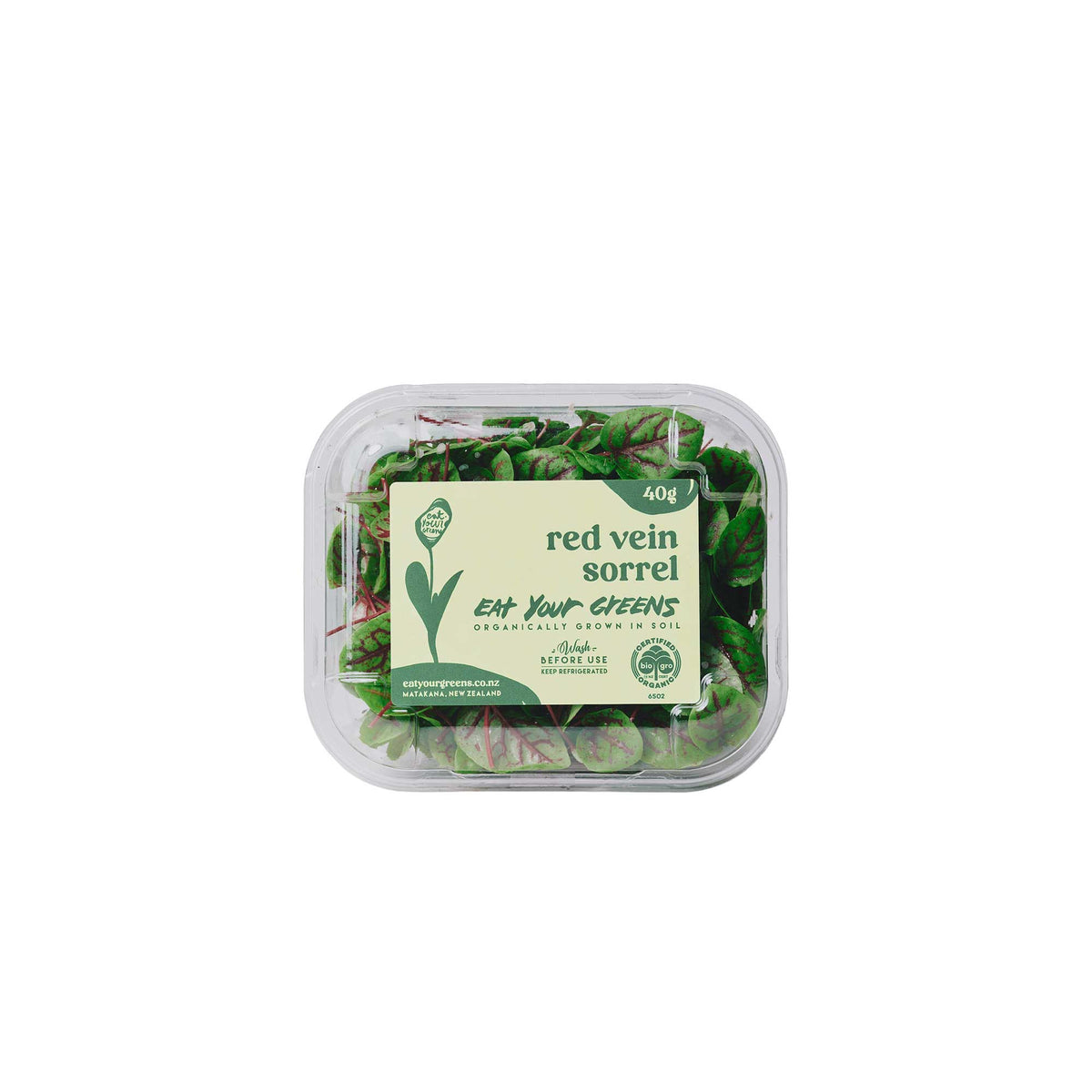 Micro Sorrel Red Vein